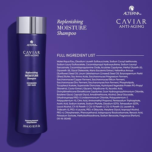 Alterna CAVIAR Anti-Aging Replenishing Moisture Shampoo | For Dry, Brittle Hair | Protects, Restores & Hydrates | Sulfate Free