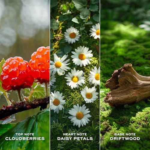 Marc Jacobs Daisy Love Eau de Toilette ? Sweet Floral Women's Perfume ? With Notes of Crystallized Cloudberries, Daisy Petals & Driftwoods