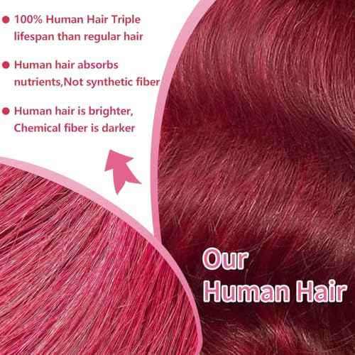 Burgundy Lace Front Wigs Human Hair 99j 13x6 HD Transparent Body Wave Lace Front Wigs Human Hair 200% Density Full and Thick HD Lace Front Wigs for Women 24 Inch
