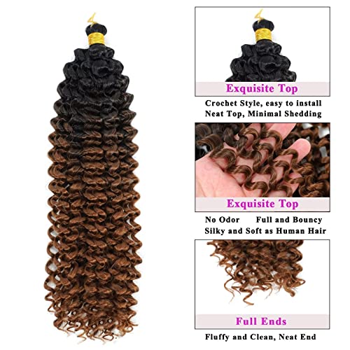 Aliabsion Ombre Brown Afro Kinky Curly Braiding Hair Extensions Water Curl Crochet Hair 3pcs 14inch Crochet Curly Braid Hair Black to Brown Short Synthetic Hair Styles (1b/30)