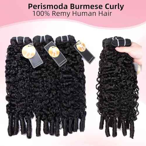 PerisModa 15A Raw Burmese Curly Bundles 100% Human Hair Bundles Pix Curly Bundles Unprocessed Human Hair Extensions 26 Inches 1PC 100% Unprocessed Virgin Water Wave Hair For Women Natural Black