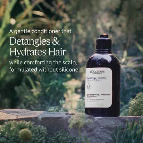 L'OCCITANE Aromachologie Gentle & Balance Conditioner 16.90 fl.oz