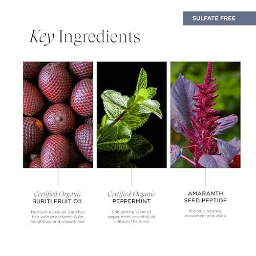 Intelligent Nutrients InspiraMint Shampoo, Invigorating Organic Mint Daily Shampoo for Fine and Oily Hair, Balancing, Refreshing, Color-Safe, Vegan, 32 Fl Oz