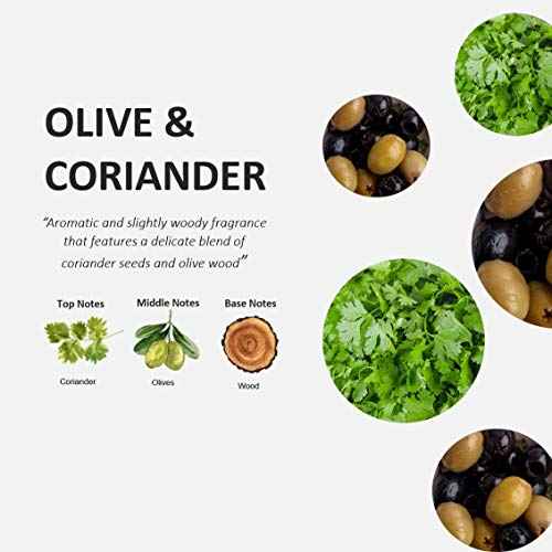 Cucina Purifying Hand Wash Coriander and Olive Tree 16.9 Fl Oz Glass Bottle by Cucina