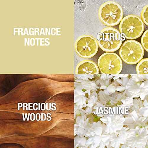 Alfred Sung Women's Fragrance, Sung Eau De Toilette EDT Spray, 3.4 Fl Oz