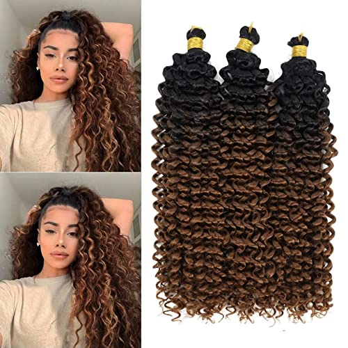 Aliabsion Ombre Brown Afro Kinky Curly Braiding Hair Extensions Water Curl Crochet Hair 3pcs 14inch Crochet Curly Braid Hair Black to Brown Short Synthetic Hair Styles (1b/30)