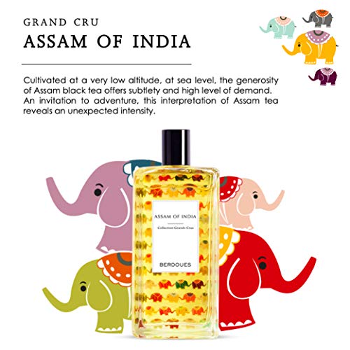 Berdoues Grands Crus Assam of India Eau de Parfum | Fresh Citrus Scent Made in France | Fragrance for Man & Women | Premium Ingredients 0.34 Fl Oz