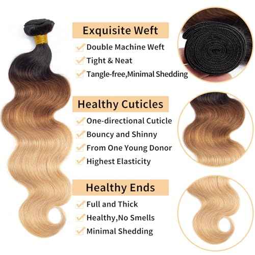 12A Grade Ombre Body Wave Bundles Human Hair (T1B/30/27,16" 18" 20") Brazilian Ombre Brown Body Wave Human Hair 3 Bundles 100% Real Unprocessed Virgin Remy Hair Quick Weave
