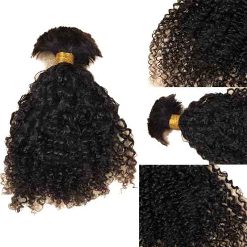 Afro Kinky Bulk Human Braiding 100% Unprocessed Brazilian Virgin Human Hair Extensions Micro Kinky Curly Braids Hair Braids Double Drown Full End Bulk Hair 14 Inch 300g