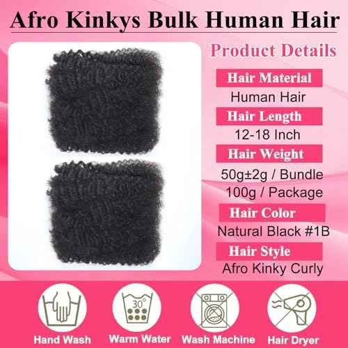 Afro Kinkys Bulk Human Hair for Braiding 2 Bundles 16 Inch 100g Afro Kinky-Curly Human Hair Bulk for Twist No Weft 4c Kinky Curly Bundles for Braids Micro Locs Dreadlock Extensions Nature Black