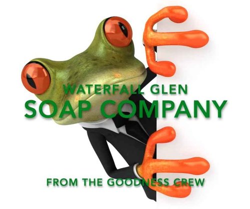 WFG Waterfall Glen Soap Company Franken Frogs Vegan Soap Bars, Box of 3, Assorted Designs
