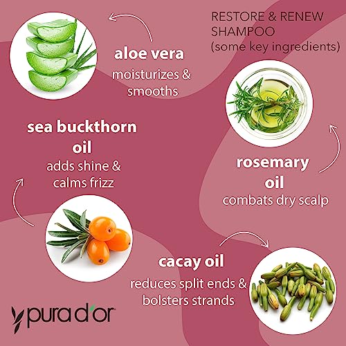 PURA D'OR Restore & Renew Shampoo (16oz) Hair Protection from Dye, Extensions and Heat Tools, Infused with Organic Aloe Vera, Rosemary Leaf Oil, Sea Buckthorn Fruit Oil, & Cacay Seed Oil
