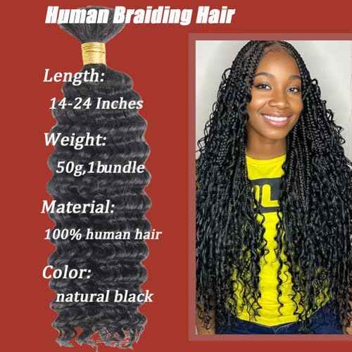 Human Braiding Hair 50g Deep Curly Wave Bulk Human Hair for Braiding No Weft Bundle Brazilian Virgin Curly Human Hair Extensions for Boho Braids Wet and Wavy Human Hair Braiding Hair Natural Color