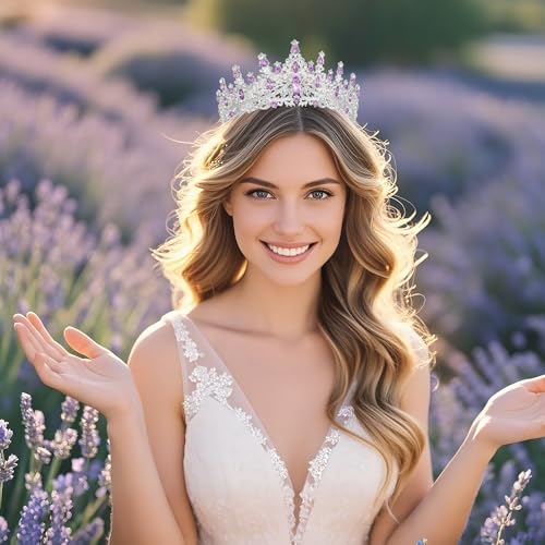 Tiaras and Crowns for Women Crystal Princess Tiaras Rhinestone Queen Crowns For Wedding Bridal Birthday Prom Pageant Party (Tiara 100)