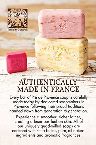 Pre de Provence Artisanal Soap Bar, Enriched with Organic Shea Butter, Natural French Skincare, Quad Milled for Rich Smooth Lather, Sea Salt, 8.8 Ounce