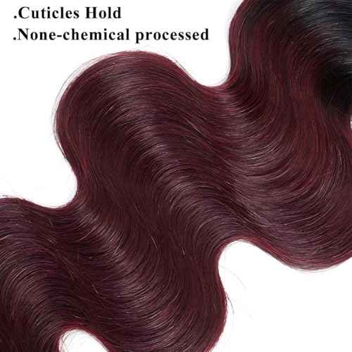 Body Wave Bundles Human Hair 1B/99J Ombre Human Hair Bundles Body Wave Brazilian Virgin Hair Extensions (20 22 24Inch)