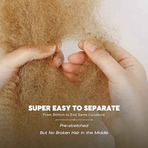 BLL Afro Kinkys Bulk Human Hair-100% Human Hair for Mini Twist Braiding Dreadlock Loc Extensions Afro Kinky Curly Hair Bulk Black Color (27#, 20 Inch (Pack Of 1))