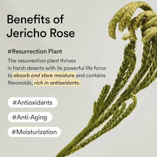 Abib Collagen Eye Patch Jericho Rose Jelly 60 Patches, Korean Under Eye Patches for Puffy Eyes and Dark Circles, Anti-Wrinkle, Collagen, Caffeine, Niacinamide, Ceramide, Antioxidant, Skin Care