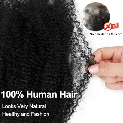 Afro Kinkys Bulk Human Hair 20 Inch Afro Kinky-curly Human Hair Bulk for Twist Dreadlock Extensions Repair Locs and Braids 1Bundle (Natural Black, 20inch)