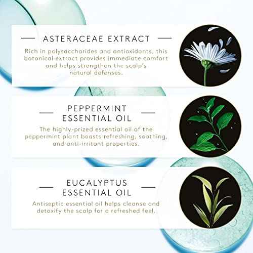 Rene Furterer ASTERA FRESH Soothing Freshness Shampoo - Relieve Sensitive Scalps - Mint & Eucalyptus - Paraben & Silicone-Free