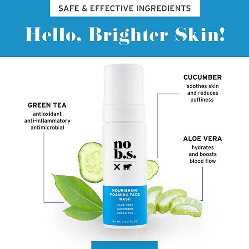 No Bad Stuff - Foaming Cleanser, Natural Face Wash with Cucumber, Green Tea & Aloe Vera, for Oily, Combination, Dry, Normal, Sensitive & Acne Skin, Gluten Free & Vegan, 5.4 FL Oz
