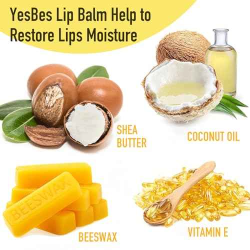 16 Pack Lip Balm, Natural Lip Balm Bulk with Vitamin E and Coconut Oil, Moisturizing Lip Balms for Dry Cracked Lips, Lip Balms for Stocking Stuffers - 8 Flavors
