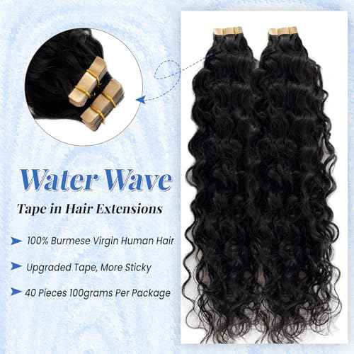 24 Inch Invisible Tape in Hair Extension Real Human Hair Curly Tape in Extensions 100G 40PCS Double Sided Bouncy Curly Water Wave Tape ins Human Hair Extension Black #1B Natural Color