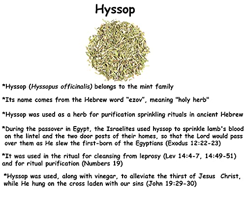 BIBLE N Beautyoils Cleanse Me With Hyssop Natural Herba Soap Bar, Infused with Hyssop, Calendula, Green Tea Extracts, and Amber Fragrance for a Refreshing Experience (Green Tea Calendula & Amber)