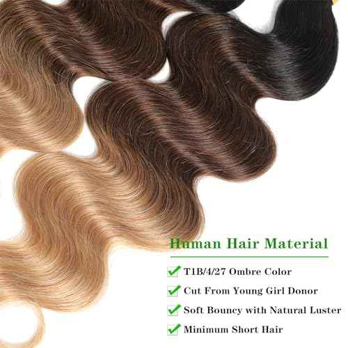 10A Ombre Human Hair Bundles With Closure 100% Brazilian Virgin Human Hair Body Wave Ombre Hair 3 Tone Black to Blonde Brazilian Remy Hair Bundles (T1B/4/27,16 18 20+14)
