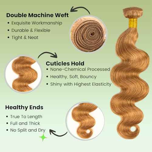 ALHER 12A Honey Blonde Body Wave Human Hair Bundles with Closure, Color #27 Sun-kissed Vibe Golden Blonde Wavy HD Transparent 4x4 Closure with 3 Bundles Soft Thick Sew In Weave Wavy 10 12 14+10