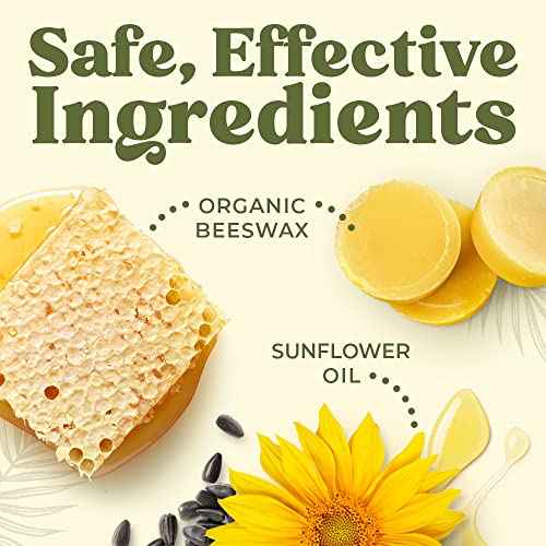 Earth's Daughter USDA Organic Lip Balm 12-Pack (2x 6-Packs) - Fruit Flavors, Beeswax, Coconut Oil, Vitamin E - Best Lip Repair Chapstick for Dry Cracked Lips - Moisturizing Lip Care