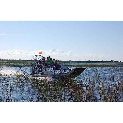 Wonderbox - Original Gift Idea - Experience Gift - Bucket List Experiences - 1 Activity to Choose from a Selection: Ferrari Driving, Dolphin Watching, Speedboat, Airboat for Gators Watching...