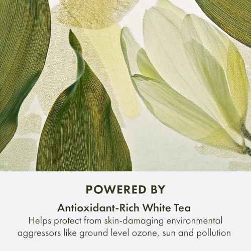 Origins A Perfect World Antioxidant Moisturizer | Keeps Skin Looking Youthful | With White Tea, 1.7 Fl Oz