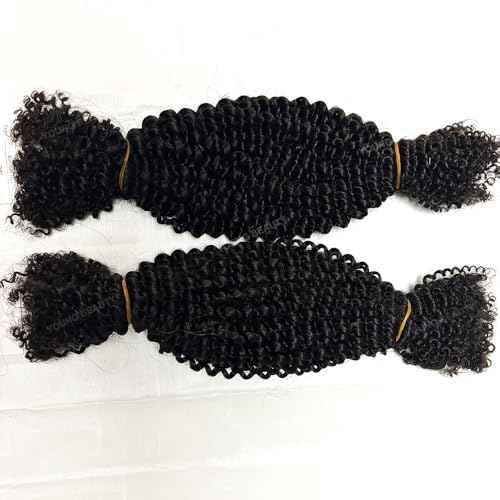 Afro Kinky Curly Bulk Human Hair for Twists/Braids/Permanent Micro Locs Bulk Human Hair Extensions For Braiding 100g/Bundles 22inch Natural Black