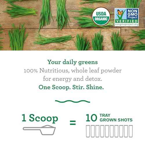 Amazing Grass Wheat Grass Powder: 100% Whole-Leaf Wheat Grass Powder for Energy, Detox & Immunity Support, Chlorophyll Providing Greens, 100 Servings