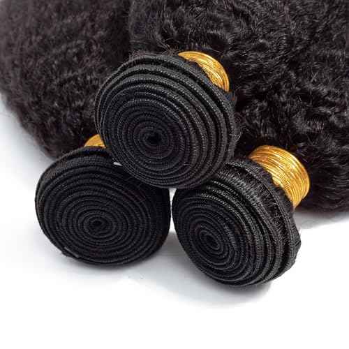 Kinky Straight Human Hair Bundles 100% Unprocessed Brazilian Remy Soft Yaki 3 Bundles Human Hair (18 20 22 Inch)