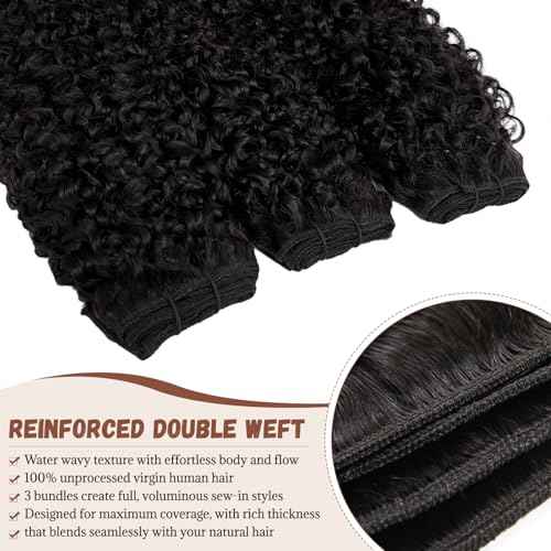 Burmese Bundles Premium Raw 100% Human Hair Water Wave High Rate 15A Unprocessed No Stray Short Hair Extensions Triple Lifespan Excellent Fullness Extra Thick From Top to End Black 20inch