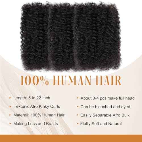 Afro Kinky Bulk Human Hair 12 Inch 30g/Pack 3 Packs for Loc Extensions, Dreadlocks, Braiding, Twist ? Afro Kinky Curly Bulk Human Hair for DIY Locs, Dreadlock Repair, 4B 4C Texture for Black Hair