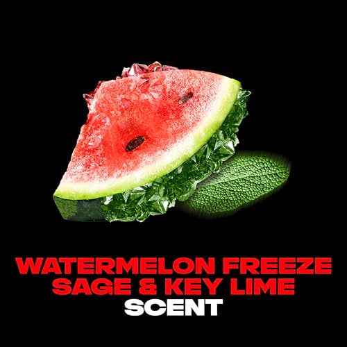 AXE Deodorant Body Spray Watermelon Freeze Fine Fragrance Aluminum Free 4 oz