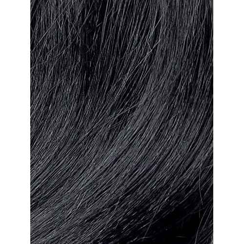Zury Sis Pre-Tweezed Synthetic Wig Diva-H SISTA (1B)