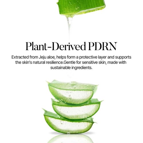 shaishaishai ALOE PDRN Cooling Repair Ampoule, 10% Vegan Collagen, 10 Types Hyaluronic Acid, Cooling Hydration & Soothing, Glow Serum, Korean Skincare, 1.69 Fl Oz