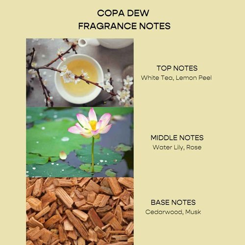 Herlum Copa Dew All-Over Nourishing Oil - Restores & Hydrates Skin, Hair & Body with Antioxidant-Rich Copaiba, Rosehip, Squalane Oils - Fast-Absorbing, Vegan, Waterless Formula, 50ml - Made in the UK