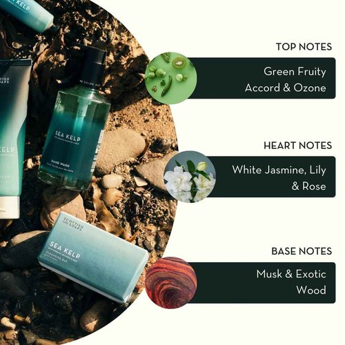 Scottish Fine Soaps Sea Kelp Hand & Body Lotion, Fresh Marine Scent with Green Fruity Notes, Mineral-Rich Formula, 300ml