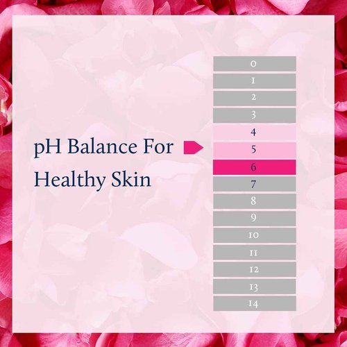Blue Nectar Shubhr Steam Rose Toner Water & Face Mist (3.4 fl Oz) and Vitamin C Face Serum with Natural Hyaluronic Acid Serum (1 Fl Oz)