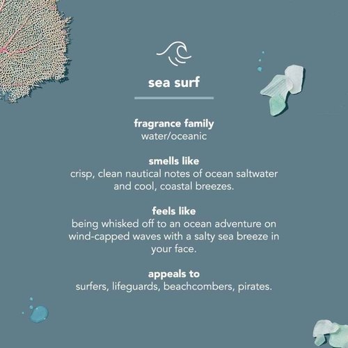 Method Body Wash Sampler Variety (Pure Peace, Sea & Surf, & Simply Nourish) (Pure Peace + Sea & Surf + Simply Nourish)