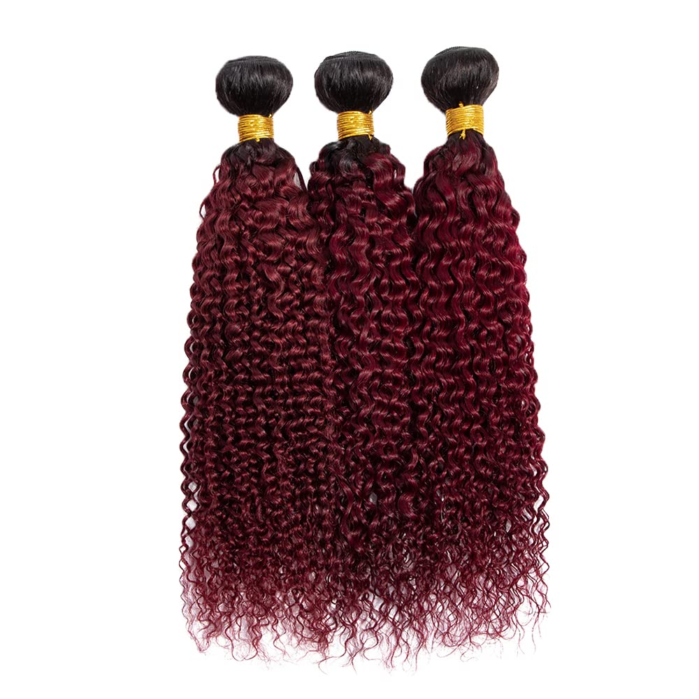 Red Bundles Human Hair Burgundy Curly Human Hair Bundles Unprocessed Peruvian Virgin Remy Hair 3 Bundles 14 16 18 Inch 1b99j Kinky Curly Bundles Double Weft Hair Extensions Ombre Red Curly Bundles