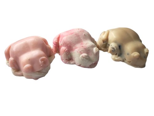WFG Waterfall Glen Soap Company Franken Frogs Vegan Soap Bars, Box of 3, Assorted Designs