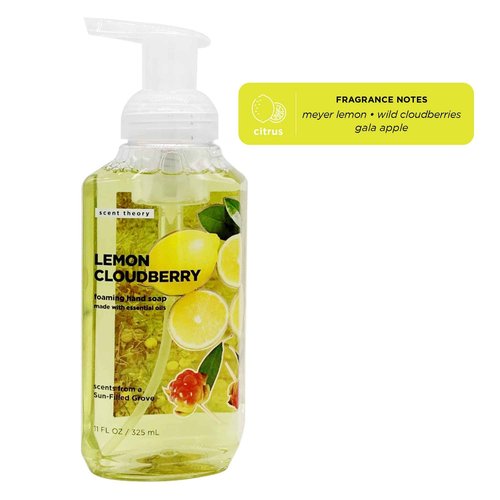 Scent Theory - Foaming Hand Soap - 11 Fl Oz - 4-Pack (Fragrance Mix)