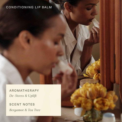 Oak Essentials Conditioning Lip Balm | Nourishing Antioxidant Lip Care with Shea Butter & Botanical Oils | Clean Moisturizing Balm for Dry, Chapped Lips, 3.6g