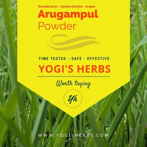 YOGIS HERBS Arugampul Powder - Bermuda Grass Powder - Cynodon Dactylon -1Lbfresh & Pure 1 Pound (Pack of 1)